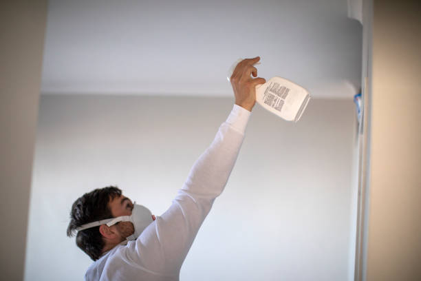 Best Mold Removal Near Me  in Bayview, CA