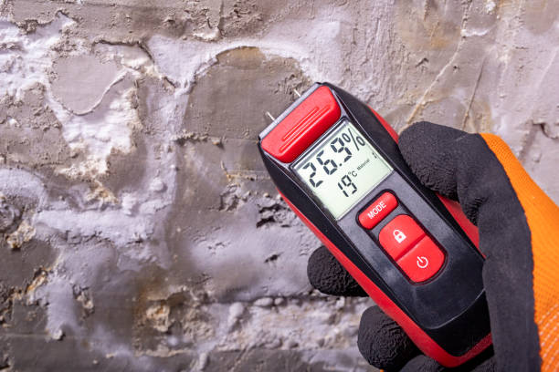 Best Home Mold Removal  in Bayview, CA