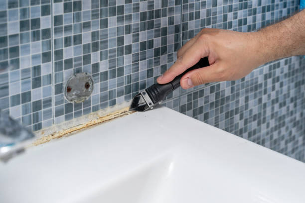 Best Fast Mold Removal  in Bayview, CA
